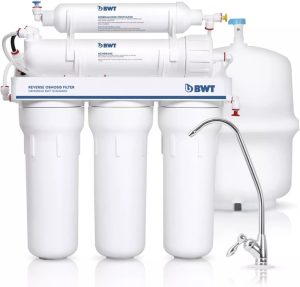 BWT Standard